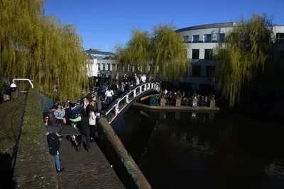 DSC_6822 (Large).JPG